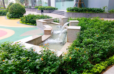 Cảnh quan sân vườn